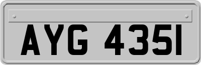 AYG4351