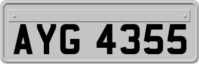 AYG4355