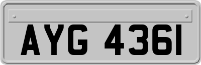 AYG4361