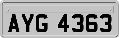 AYG4363