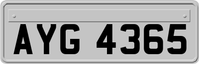 AYG4365