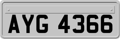 AYG4366
