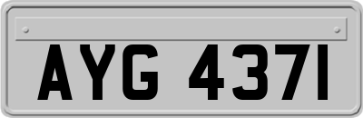 AYG4371