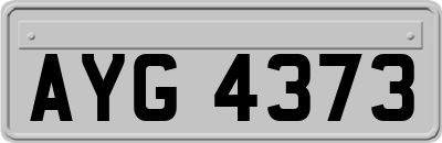 AYG4373