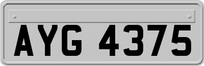 AYG4375