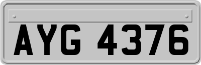 AYG4376