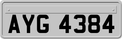 AYG4384