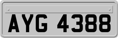AYG4388