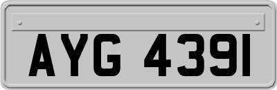 AYG4391