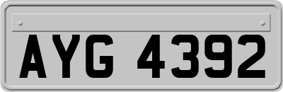 AYG4392