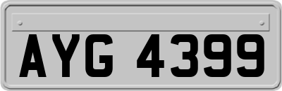 AYG4399