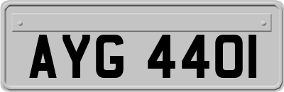 AYG4401