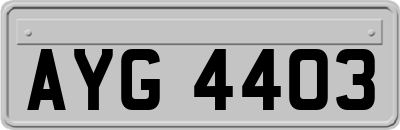 AYG4403