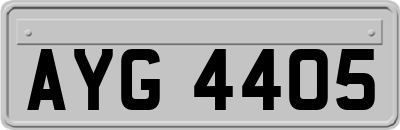 AYG4405