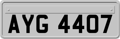 AYG4407