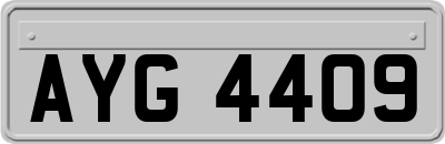 AYG4409