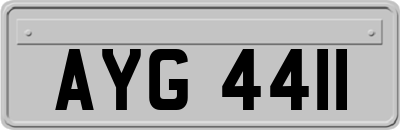 AYG4411