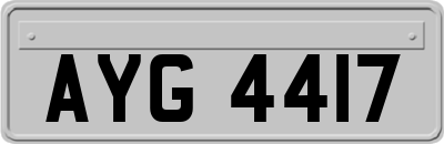 AYG4417