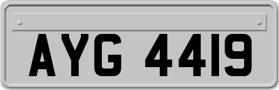 AYG4419