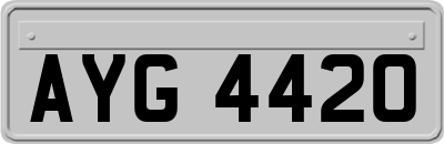 AYG4420