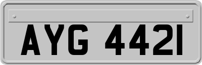 AYG4421