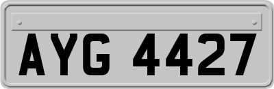 AYG4427