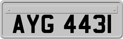 AYG4431