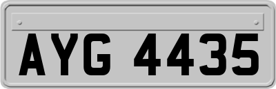 AYG4435