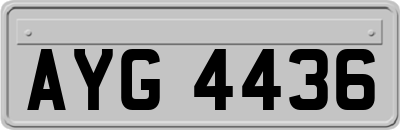 AYG4436