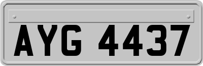 AYG4437