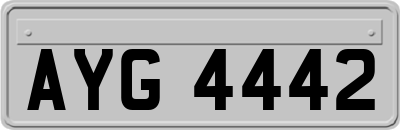 AYG4442