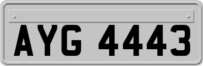AYG4443