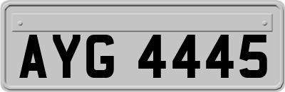 AYG4445