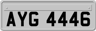AYG4446