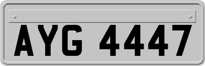 AYG4447