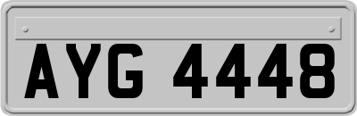 AYG4448
