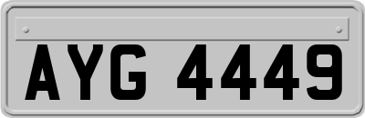 AYG4449