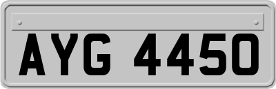 AYG4450