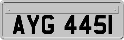 AYG4451