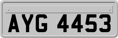 AYG4453