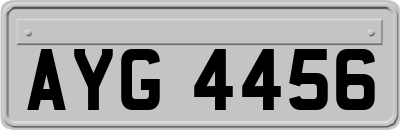 AYG4456