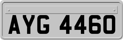 AYG4460