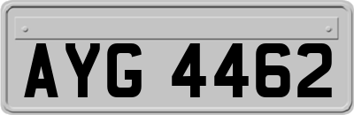 AYG4462