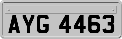 AYG4463