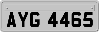 AYG4465
