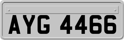 AYG4466