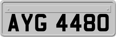 AYG4480