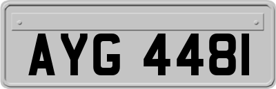 AYG4481