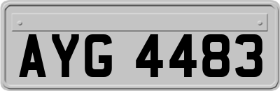 AYG4483