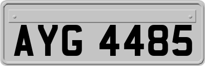 AYG4485